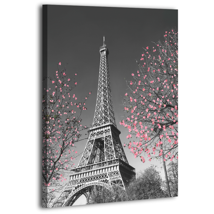 Картина на холсті XP149, 50х70 см