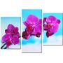 Красива кімнатна модульна картина на полотні Orchid AMD 047, 96х70 см