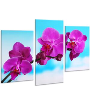 Красива кімнатна модульна картина на полотні Orchid AMD 047, 96х70 см