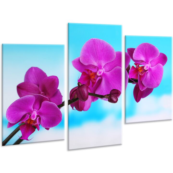 Красива кімнатна модульна картина на полотні Orchid AMD 047, 96х70 см