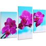 Красива кімнатна модульна картина на полотні Orchid AMD 047, 96х70 см