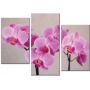 Красивая комнатная модульная картина на холсте Orchid AMD 096, 96х70 см