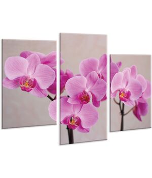 Красивая комнатная модульная картина на холсте Orchid AMD 096, 96х70 см