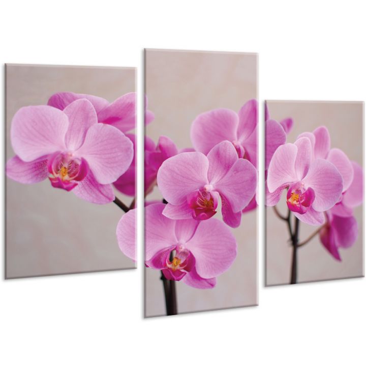 Красива кімнатна модульна картина на полотні Orchid AMD 096, 96х70 см