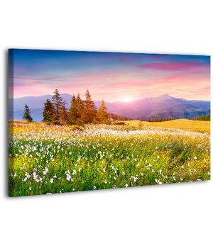 Картина на холсте XP396, 50х70 см