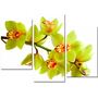 Красива кімнатна модульна картина на полотні Orchid AMD 009, 96х70 см