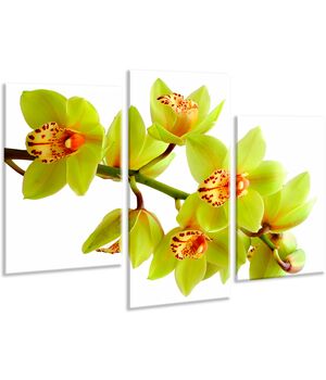 Красива кімнатна модульна картина на полотні Orchid AMD 009, 96х70 см