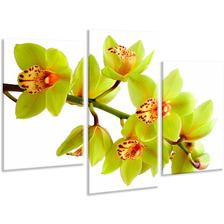 Красива кімнатна модульна картина на полотні Orchid AMD 009, 96х70 см