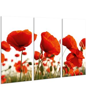 Красивая комнатная модульная картина на холсте Poppies AMD 033, 96х70 см