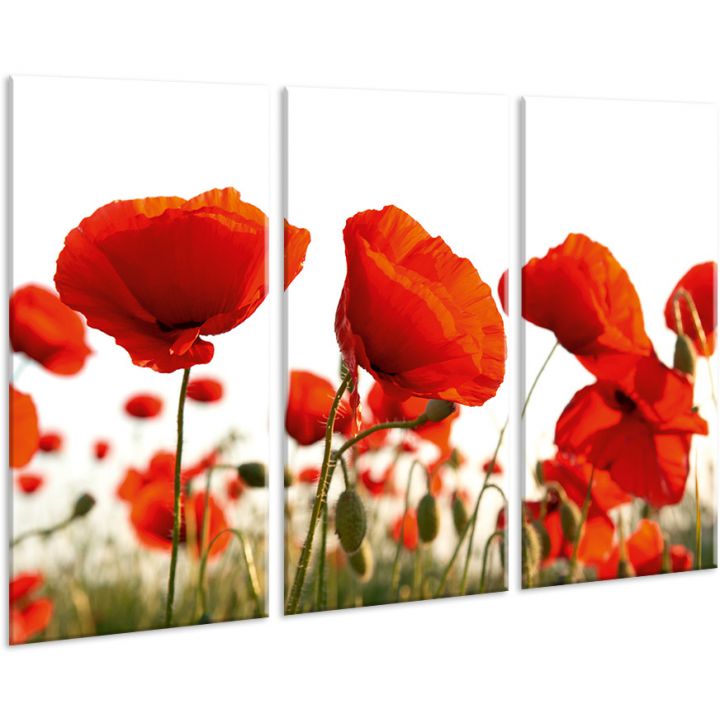 Красивая комнатная модульная картина на холсте Poppies AMD 033, 96х70 см