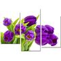 Красива кімнатна модульна картина на полотні Tulips AMD 048, 96х70 см