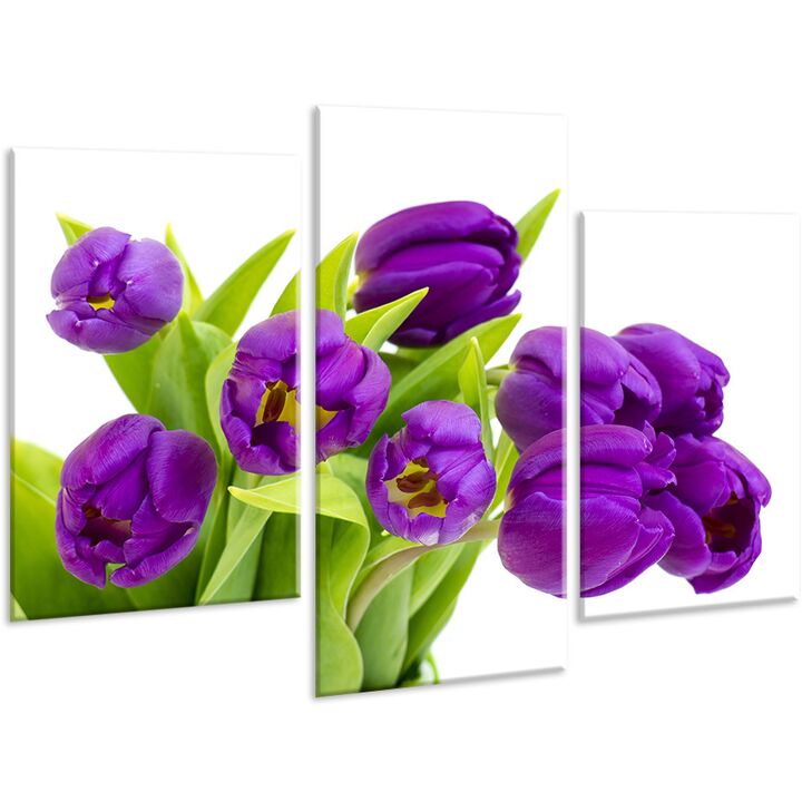 Красива кімнатна модульна картина на полотні Tulips AMD 048, 96х70 см