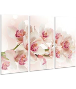 Красивая комнатная модульная картина на холсте Orchid AMD 097, 96х70 см