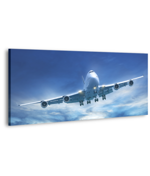 Оригинальная дизайнерская картина XP203, 50х100 см