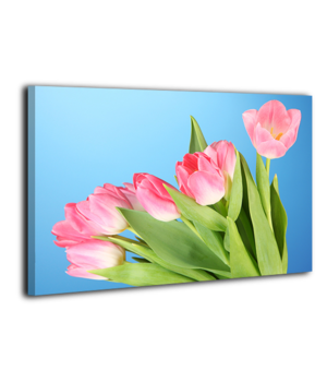Картина на холсте XP089, 50х70 см