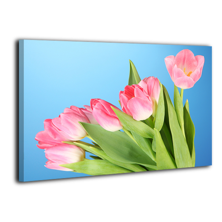 Картина на холсте XP089, 50х70 см
