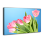 Картина на холсте XP089, 50х70 см
