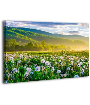 Картина на холсте XP419, 50х70 см