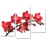 Красивая комнатная модульная картина на холсте Orchid AMD 010, 96х70 см