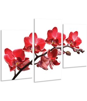 Красивая комнатная модульная картина на холсте Orchid AMD 010, 96х70 см