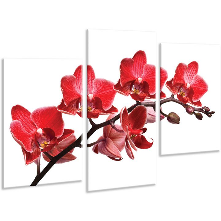 Красивая комнатная модульная картина на холсте Orchid AMD 010, 96х70 см