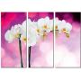 Красивая комнатная модульная картина на холсте Orchid AMD 034, 96х70 см