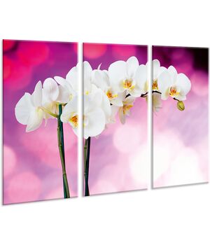 Красива кімнатна модульна картина на полотні Orchid AMD 034, 96х70 см