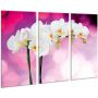 Красивая комнатная модульная картина на холсте Orchid AMD 034, 96х70 см