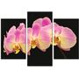 Красива кімнатна модульна картина на полотні Orchid AMD 088, 96х70 см