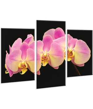 Красива кімнатна модульна картина на полотні Orchid AMD 088, 96х70 см