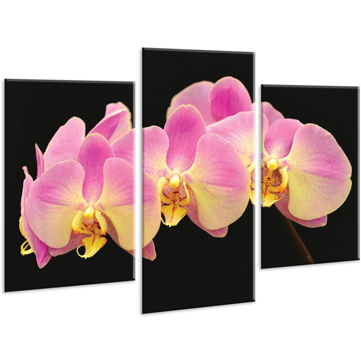 Красива кімнатна модульна картина на полотні Orchid AMD 088, 96х70 см