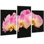 Красива кімнатна модульна картина на полотні Orchid AMD 088, 96х70 см