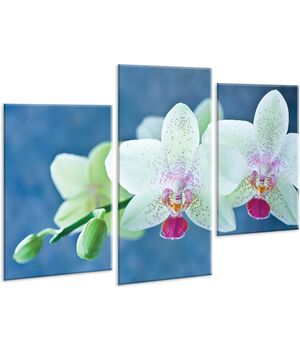 Красивая комнатная модульная картина на холсте Orchid AMD 098, 96х70 см