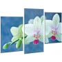 Красивая комнатная модульная картина на холсте Orchid AMD 098, 96х70 см