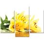 Красивая комнатная модульная картина на холсте Lily AMD 089, 96х70 см