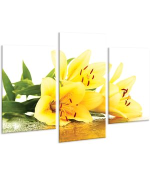 Красивая комнатная модульная картина на холсте Lily AMD 089, 96х70 см