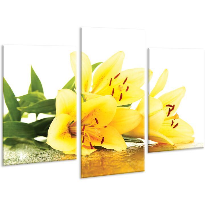 Красивая комнатная модульная картина на холсте Lily AMD 089, 96х70 см