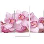 Красива кімнатна модульна картина на полотні Orchid AMD 016, 96х70 см