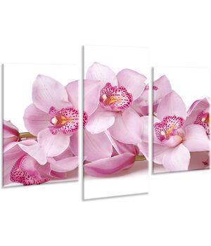 Красива кімнатна модульна картина на полотні Orchid AMD 016, 96х70 см