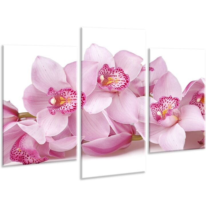Красива кімнатна модульна картина на полотні Orchid AMD 016, 96х70 см