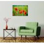 Красивая комнатная модульная картина на холсте Poppy AMD 012, 96х70 см