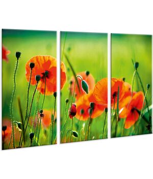 Красивая комнатная модульная картина на холсте Poppy AMD 012, 96х70 см
