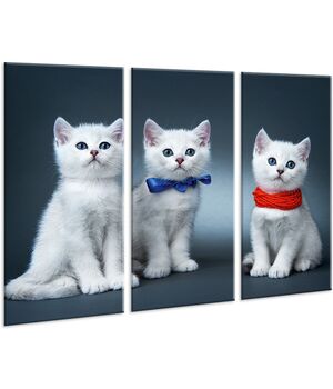 Красива кімнатна модульна картина на полотні Kittens 051 AMD, 96х70 см