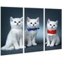 Красива кімнатна модульна картина на полотні Kittens 051 AMD, 96х70 см