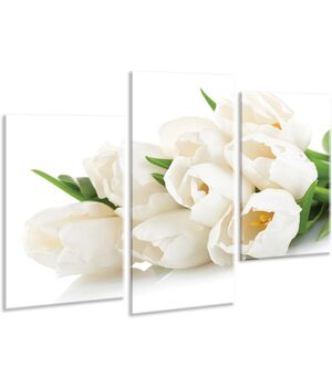 Красива кімнатна модульна картина на полотні Tulips AMD 090, 96х70 см