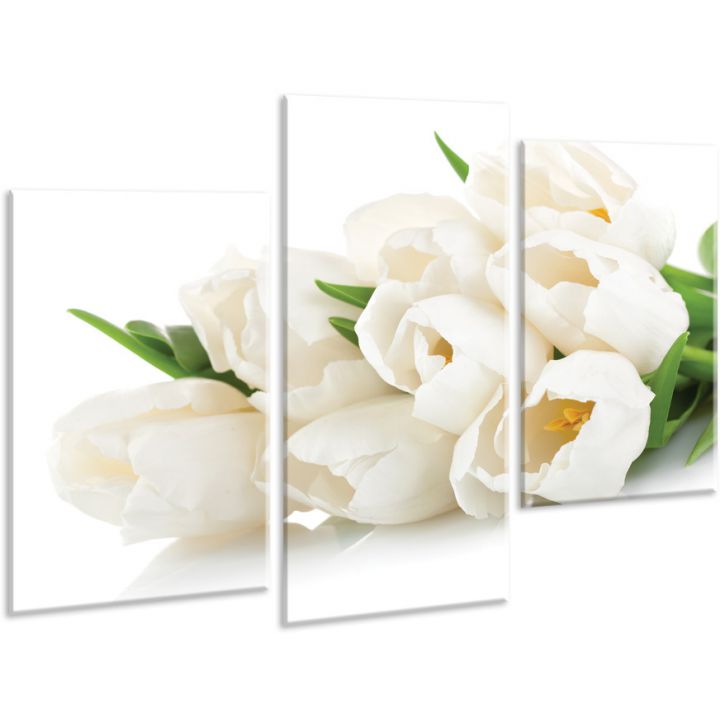 Красивая комнатная модульная картина на холсте Tulips AMD 090, 96х70 см