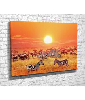 Современная красивая картина в гостиную, спальню, кухню TG239, 80x54 см