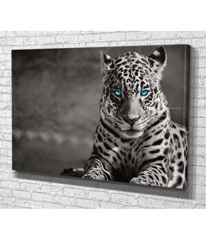 Современная красивая картина в гостиную, спальню, кухню TG222, 80x54 см