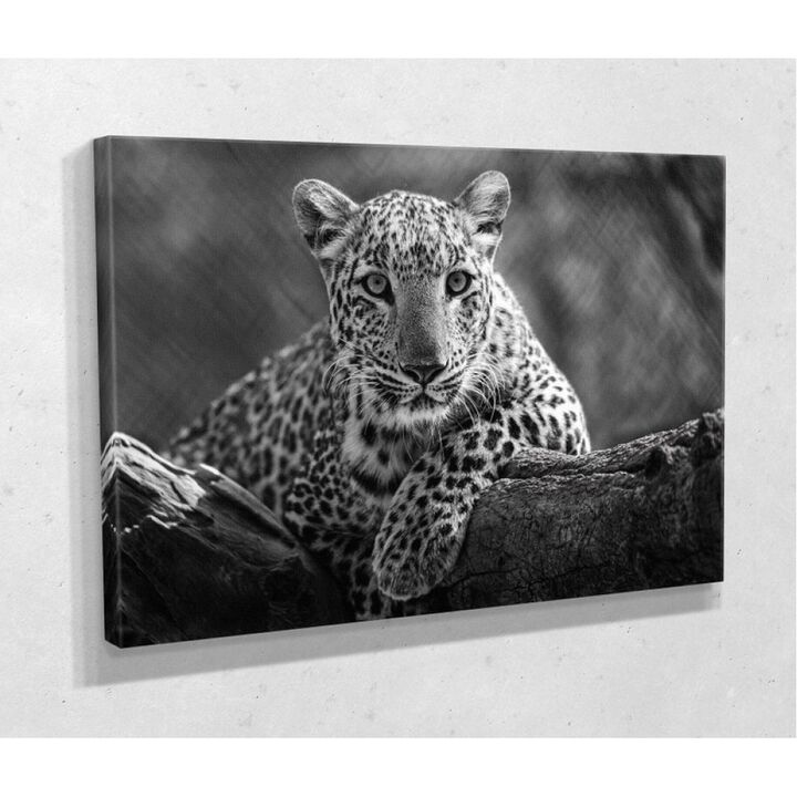 Современная красивая картина в гостиную, спальню, кухню TG182, 80x54 см