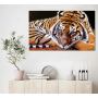 60x100 cм, Тигр Интерьерная картина на холсте на стену